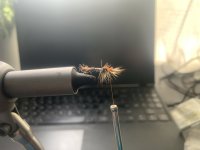 IMG_0311.jpeg