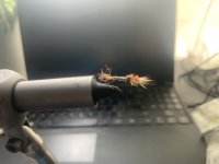 IMG_0312.jpeg