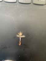 IMG_0313.jpeg