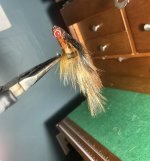 IMG_0333.jpeg IMG_0333.jpeg