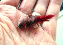 red bead brute catcher.JPG red bead brute catcher.JPG