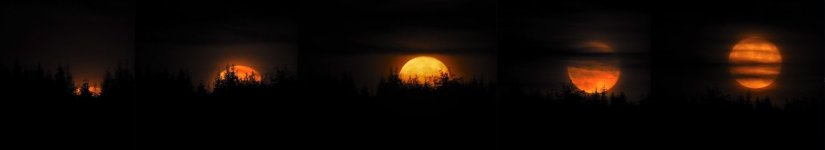 moonrisejune14thof2022farmmmm.jpg