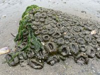 IMG_5869.JPG