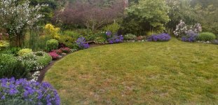 Garden June 2022.jpg