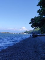 IMG_20200713_165043.jpg