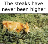 1655469991027.png