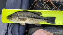 IMG_20220616_203838.jpg