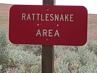 IMG_20220601_114613429.jpg