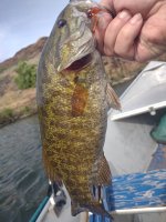 IMG_20220603_163711896.jpg