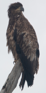 1655683714247.png
