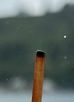 5D054E6F-F507-42BB-918B-F3FD30794B28.jpeg