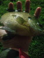 20220617_221708.jpg