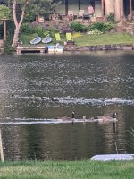 PXL_20220622_024403395.jpg