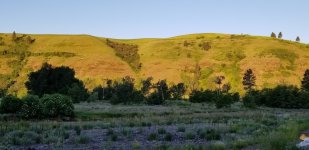 20220622_landscape.jpg