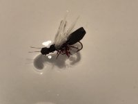 FEF584D9-007C-4C77-9F0B-0ED54704D8B6.jpeg