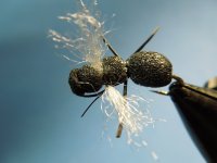 DSCN2603.JPG