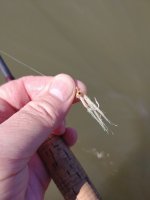 20220622_095107.jpg 20220622_095107.jpg
