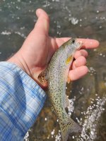 IMG_20220623_130317.jpg