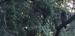80233AD8-0C3A-443A-B485-622514159AB3.jpeg
