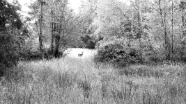 20220624_091728.jpg