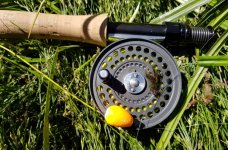 20220624_5wtINDpeacockleech.jpg