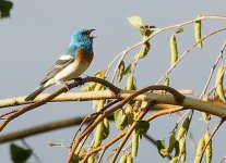 3D012912-C016-4D8D-AB1A-42E8C0524BA9.jpeg