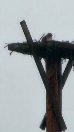 20220610_183931.jpg