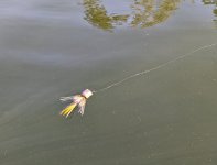 PXL_20220625_162938348.jpg