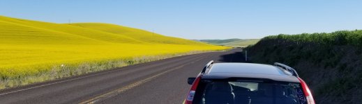20220626_PeasWheatCanola.jpg