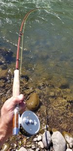 20220626_fishon.jpg