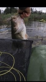 9A44FB55-E196-4BEA-A2C7-39081D891C8F.jpg 9A44FB55-E196-4BEA-A2C7-39081D891C8F.jpg