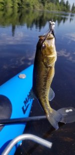20220627_152015.jpg 20220627_152015.jpg
