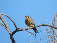 IMG_2932.JPG