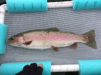EF273F2D-2012-412C-B1BA-B01FAA788D00.jpeg