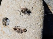 20220701_flies.jpg