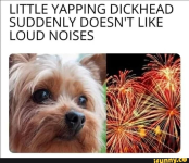 1656828294009.png
