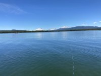 IMG_2185.JPG