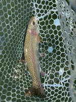 IMG_2188.JPG