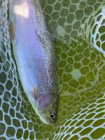 IMG_2195.JPG