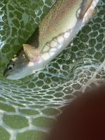IMG_2203.JPG