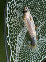 IMG_2215.JPG