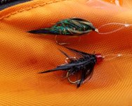 20220703_flies.jpg
