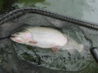 IMG_0306.JPG IMG_0306.JPG