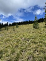 3369839C-2613-4F55-94CB-C477385B2BDF.jpeg