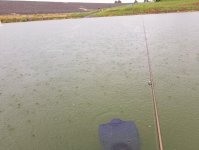 20220704_rainy.jpg