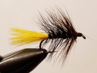20220705_194111.jpg