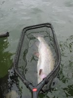 IMG_0305.JPG