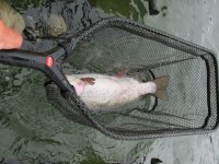 IMG_0304.JPG