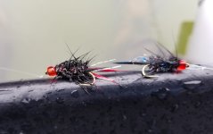20220704_flies.jpg 20220704_flies.jpg