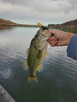 20220704_070813.jpg